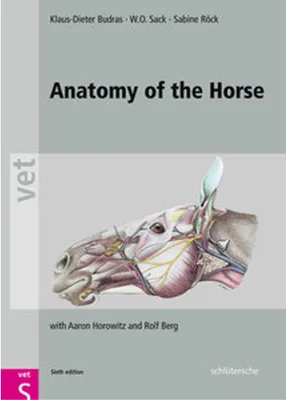 Produktbild von Anatomy of the Horse