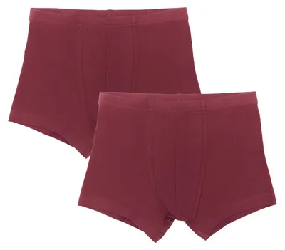 Produktbild von Bio-Baumwoll-Jungen Retroshorts-2er Pack
