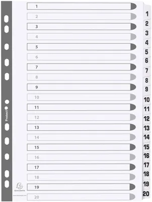 Produktbild von EXACOMPTA Karton-Register 1-20 DIN A4 weiß 20-teilig