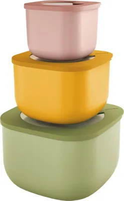 Immagine prodotto di Guzzini STORE&MORESet 3 Dosen Assorted colors