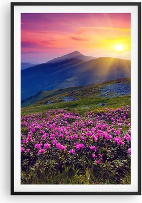 Produktbild von Gerahmtes Poster - Schwarzer Rahmen - Wiese Berge Landschaft - 61x91,5 cm - Wand Bild - Wanddeko - Wandbilder - Kunstposter - Wandposter - Bilderrahmen - Bilder - Kunstdruck - Wandbild P2BPA61x91-2676