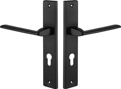 Produktbild von Türgriff Sambia Schwarz mit Zylinder, langer Rückplatte, Rückholfeder, Lochabstand 212 mm, für Innentüren 38-45 mm, rechts/links