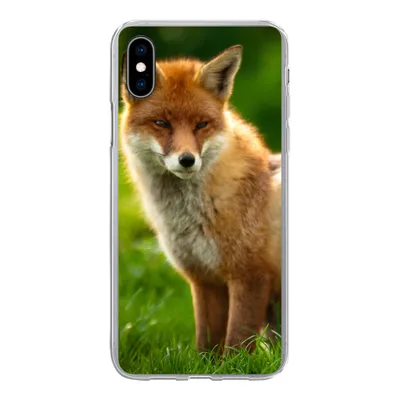 Produktbild von MuchoWow® Handyhülle Schutzhülle Hülle für iPhone Xs Fuchs - Licht - Gras Silikon Softcase Handy Hülle - Handytasche