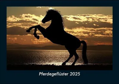 Produktbild von Pferdegeflüster 2025 Fotokalender DIN A5