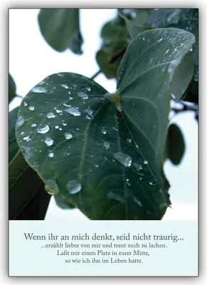 Produktbild von Schöne Trauerkarte mit tränenden Blättern: Wenn ihr an mich denkt, seid nicht traurig..