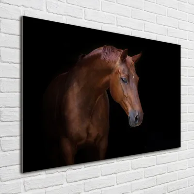 Produktbild von Tulup® Glas-Bild - 100 x 70 - Wandbild aus Glas - Wandkunst - Wandbild hinter gehärtetem Sicherheitsglas - Tiere - Braunes Pferd - Braun