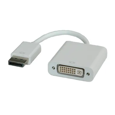 Image de ROLINE Adaptateur DisplayPort-DVI, DP mâle-DVI femelle