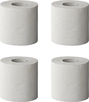 Image de Papier toilette à dissolution rapide - lot de 4 pièces
