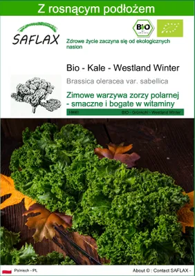 Zdjęcie produktu dla SAFLAX - Bio - Kale - Westland Winter - 70 Nasiona - Z podłożem uprawowym wolnym od zarazków - Brassica oleracea var. sabellica