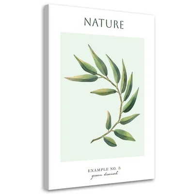 Produktbild von Leinwandbild Grüner Zweig – Natur 80x120 Feeby Grün bild für die wand bereit zum aufhängen
