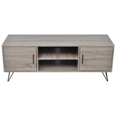 Obrázok produktu pre vidaXL TV skrinka sivá 120x40x45 cm Sivá