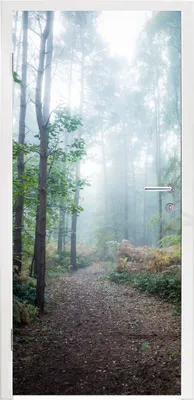 Produktbild von MuchoWow® Türtapete Selbstklebende Türfolie Wald - Nebel - Weg 90x215 cm Türposter Türaufkleber Klebefolie Türklebefolie - Plakat an der Tür - Türsticker - Aufklebern