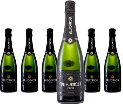 Produktbild von 6 x Cava Vallformosa Origen Brut Reserva