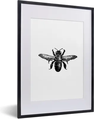 Produktbild von MuchoWow® Gerahmtes Poster Biene - Insekt - Vintage - Schwarz und weiß 30x40 cm - Poster mit Schwarzem Bilderrahmen Wandposter Rahmen Foto Bilder - Wandposter Schlafzimmer