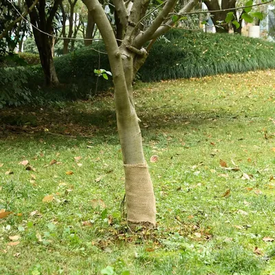 Produktbild von Cloris DesignMöbel Jutegewebe 0,25x5 m 100% Jute 200 g/m² , Teppichläufer 2024 Neu