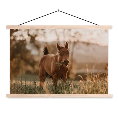 Produktbild von MuchoWow® Textilposter Pferd - Sonne - Gras 120x80 cm mit holzfarbenen Rahmen - Aufhängeset