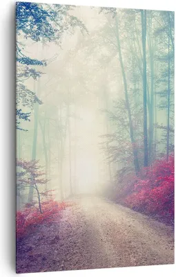 Produktbild von Bild auf Leinwand - Leinwandbild - Einteilig - Wald Baum Natur - 80x120cm - Wand Bild - Wanddeko - Wandbilder - Leinwanddruck - Kunstdruck - Wanddekoration - Leinwand bilder - Wandbild - PA80x120-3667