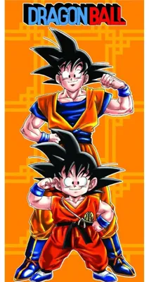 Produktbild von Toei Animation Dragon Ball Handtuch Orange  Orange One Size