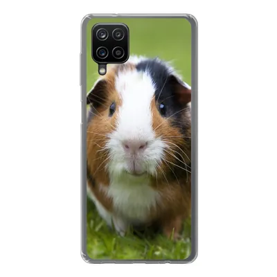 Produktbild von MuchoWow® Handyhülle Schutzhülle Hülle für Samsung Galaxy A12 Zwei Meerschweinchen Silikon Softcase Handy Hülle - Bild