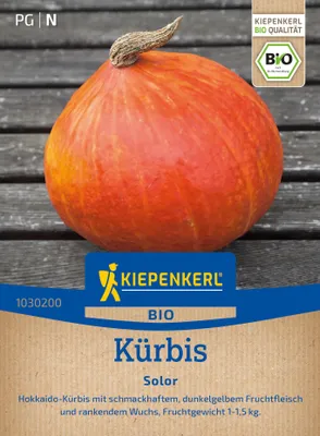 Produktbild von Kiepenkerl Kürbissamen Solor Cucurbita maxima 5 Pflanzen
