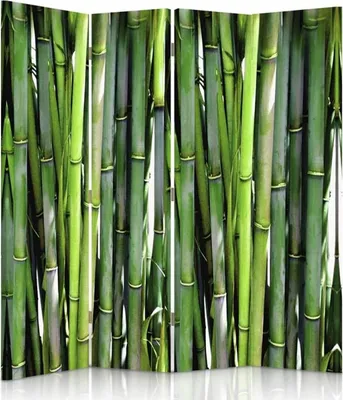 Produktbild von Paravent - Raumteiler Bamboo - Dekorativer Raumtrenner cm. 145x170 (4 x)