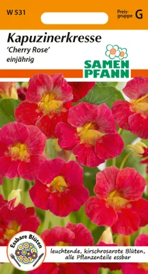 Produktbild von Kapuzinerkresse Cherry Rose | Kapuzinerkressesamen von Samen Pfann