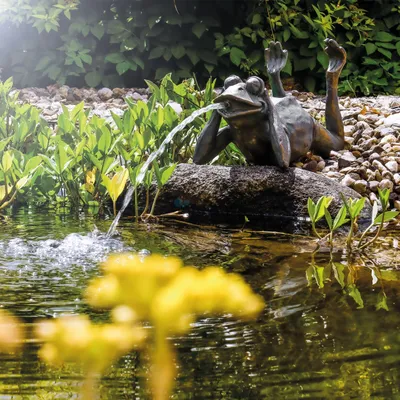Produktbild von esotec Wasserspeier FROSCH + Solar-Teichpumpe Wasserspiel Gartenfigur 101650