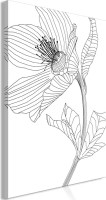Produktbild von Vlies Leinwandbild - Spring Sketch (1 Part) Vertical 40x60 cm Blumen b-A-0676-b-a