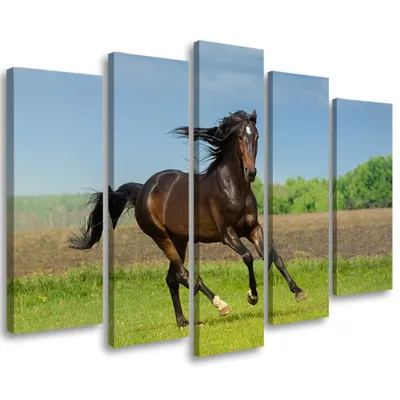 Produktbild von 5-teiliges leinwandbild pferdegalopp wiese 150x100 cm Feeby grün wandbild bereit zum aufhängen