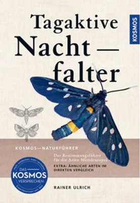Image de Tagaktive Nachtfalter