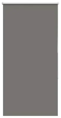 Image de vidaXL Store d'obscurcissement Gris 65x130 cm Largeur de tissu 60,7 cm Polyester