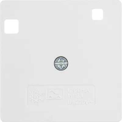Produktbild von Berker Zentralstück pws/matt/samt 14961909