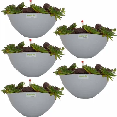 Produktbild von Set5 5 Keramik Schale Madeira grau struktur mit Sukkulent happy-nature
