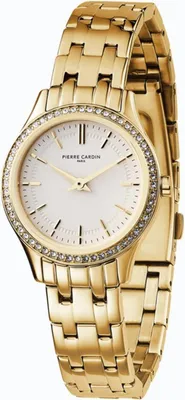 Image de Montres Pierre Cardin cf0607seg