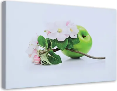 Produktbild von Leinwandbild grüner apfel und zweig eines obstbaums 100x70 cm Feeby grün wandbild bereit zum aufhängen