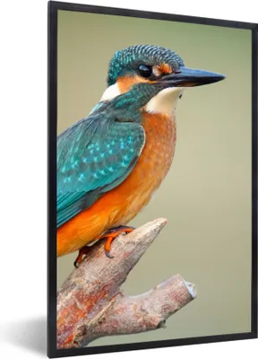 Produktbild von MuchoWow® Gerahmtes Poster Vogel - Eisvogel - Zweig 60x90 cm - Poster mit Schwarzem Bilderrahmen Wandposter Rahmen Foto Bilder - Kunst