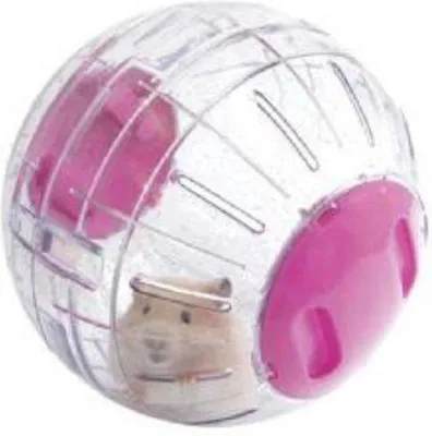 Produktbild von Glitterhamster Spielzeug für kleine Haustiere