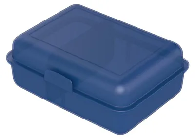 Zdjęcie produktu dla Pojemnik na lunch "Lunch Box" - pojemnik na lunch dla dzieci z przegrodą i zamknięciem na zatrzask - wolny od BPA i wyprodukowany w Niemczech - pojemnik na lunch do szkoły i pracy - modny niebieski PP