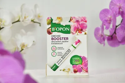 Obrázek produktu pro Gel "Orchideen – Aktivátor stonek květů", 2 ml, pro stimulaci tvorby nových květů
