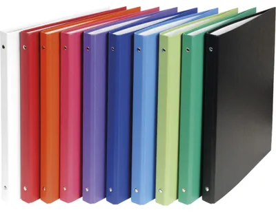 Produktbild von Exacompta 20x Ringbuch rembordiert PP 4Ring 15mm Rücken 20mm A4 sortiert 51150E