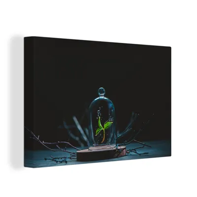 Obrázek produktu pro OneMillionCanvasses® Malba na plátně Nástěnná malba na plátně - Zátiší - Rostlina - Květiny - 150x100cm