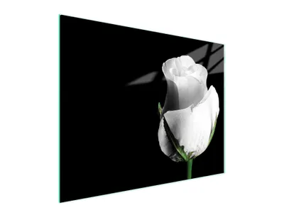 Immagine prodotto di Tagliere in vetro 52x40 Rose