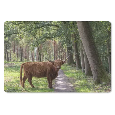 Produktbild von MuchoWow® Schreibtischunterlage Schottischer Highlander - Kröte - Baum 60x40 cm - XXL Mauspad - Großes Mauspad