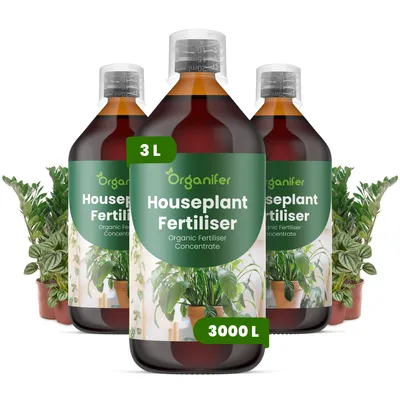 Obrázek produktu pro Pokojové Rostliny Tekuté Hnojivo 3x1 L – 2-1-8 NPK – Pro Pokojové Rostliny – Podporuje Silný Růst Listov & Stabilnú Štruktúru – Organifer