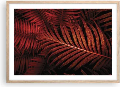 Produktbild von Gerahmtes Poster - Rahmen in heller Eiche - Rot Blätter Palmen - 70x50 cm - Wand Bild - Wanddeko - Wandbilder - Kunstposter - Wandposter - Bilderrahmen - Bilder - Kunstdruck - P2NAA70x50-4816