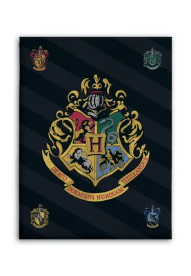 Produktbild von Fleecová deka Harry Potter s erbom školy čarodejníckej na Rokforte