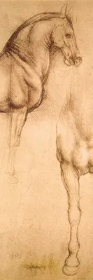 Produktbild von Leonardo Da Vinci Kunstdruck Bild - Pferdestudie, 1493-1494 (91 x 30 cm)