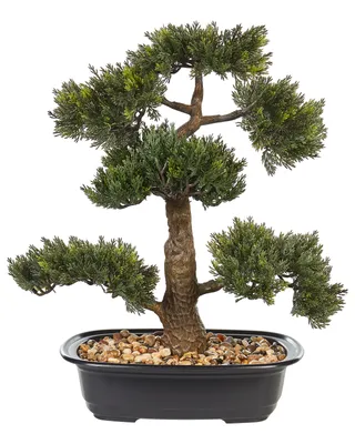 Obrázek produktu pro BELIANI Umělá rostlina v květináči bonsai zelená a černá syntetický materiál 44 cm dekorace doplňky interiér