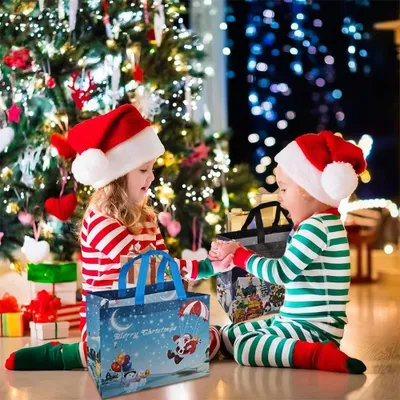 Produktbild von Weihnachts-Tragetasche mit 12 Geschenkbeuteln für Weihnachtsgeschenke - festliche Süßigkeiten Geschenkverpackung - Weihnachts-Süßigkeitenbeutel Sortiment