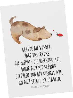 Produktbild von Mr. & Mrs. Panda bildkarte Hund Marienkäfer - Weiß - Geschenk, Grußkarte, Mischlingshund, Ansichtskarten, Sprüche, Postkarte, Postkarten, Hoffnung, Kunstkarten
